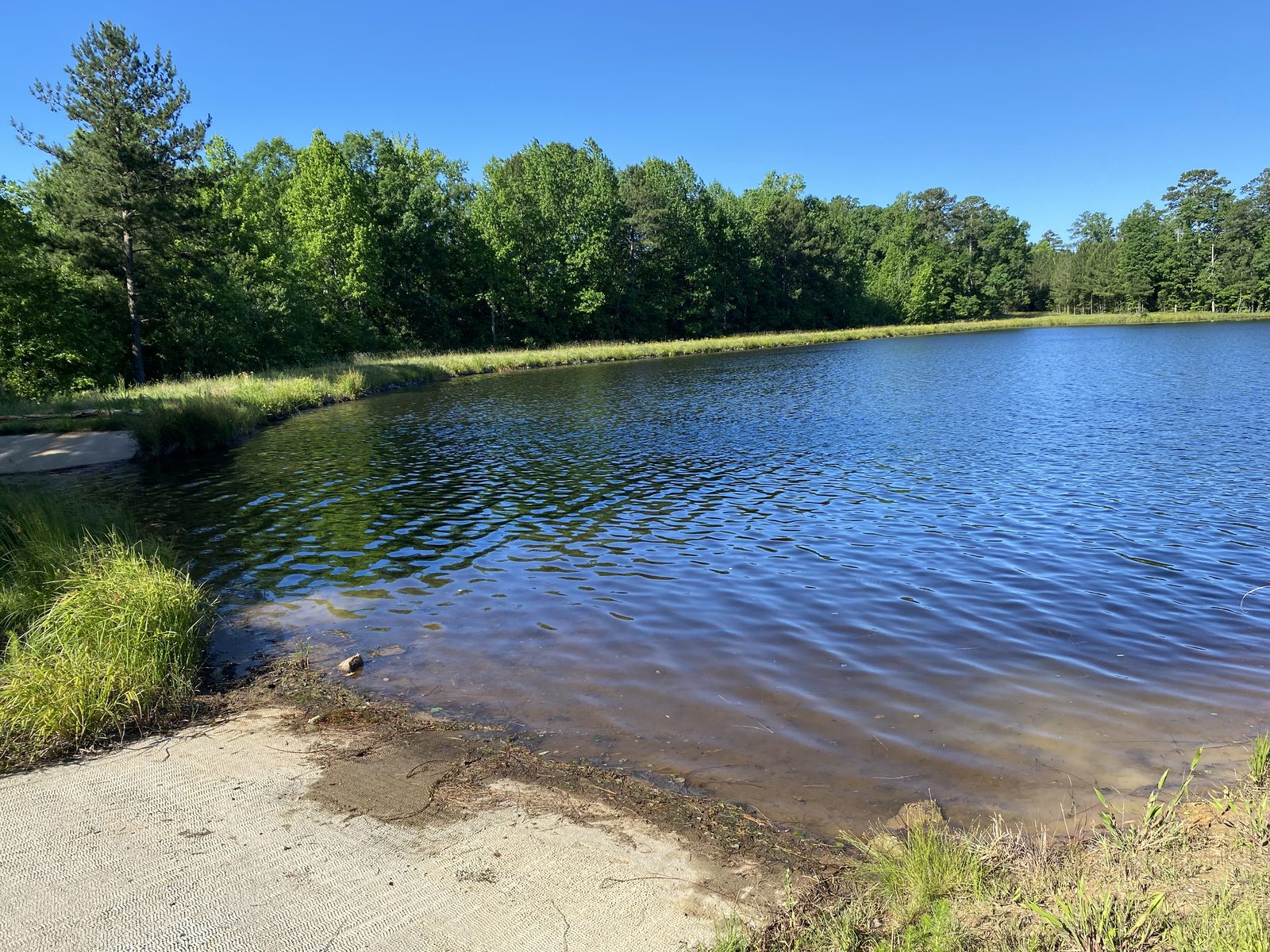 Same pond with clear open water after treatment