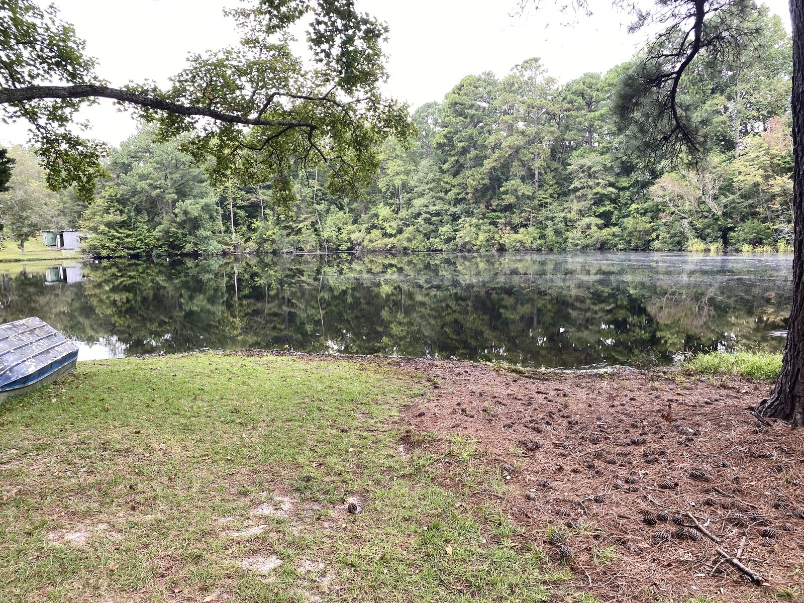 Same 1.3-acre pond restored to clear water after treatment