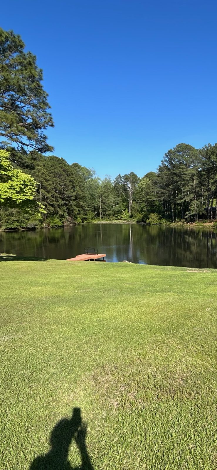 Same 1.5-acre pond cleared after treatment
