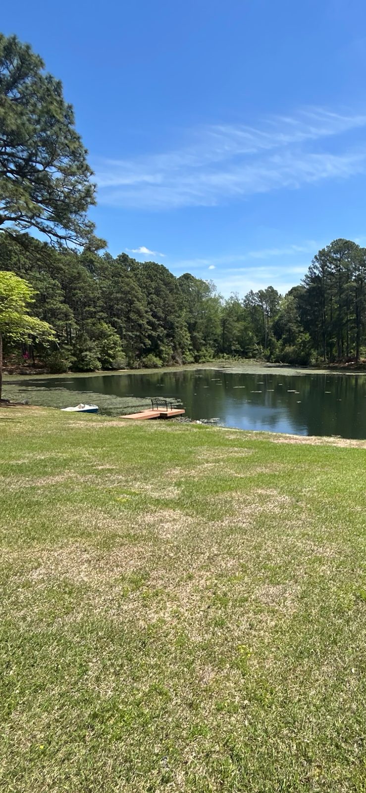 1.5-acre pond with mixed aquatic vegetation before treatment