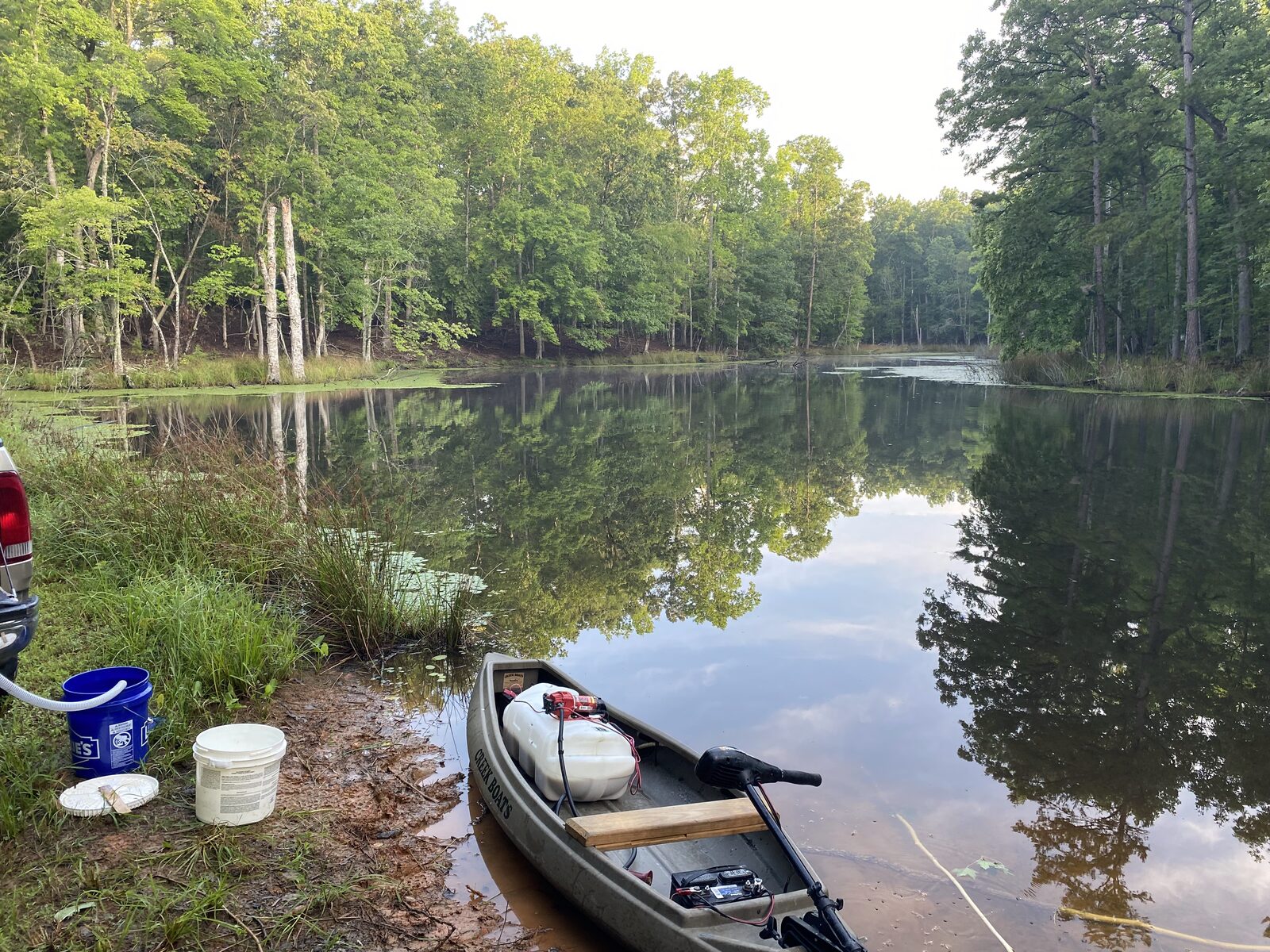 1.4-acre pond with watershield before treatment