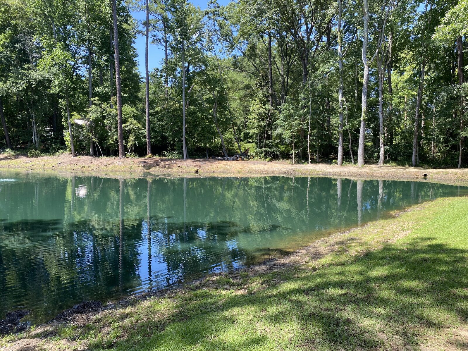0.32-acre pond with clear, dyed open water and a clean shoreline after treatment