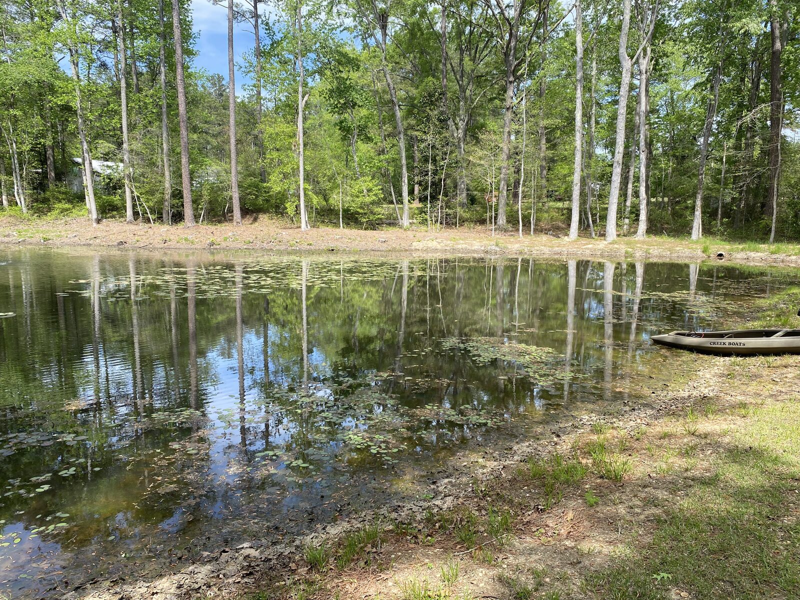 0.32-acre pond with lily pads, lotus, and submerged weeds along the bank before treatment